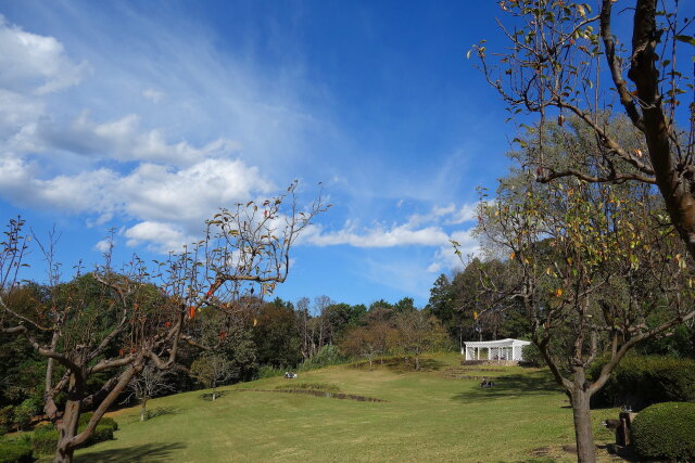 公園広場