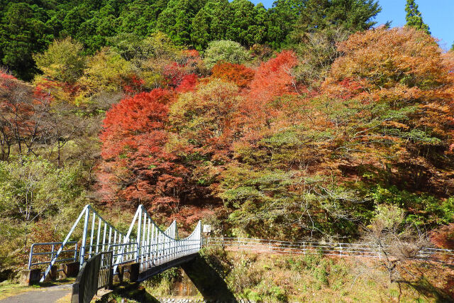 山の秋進む 25