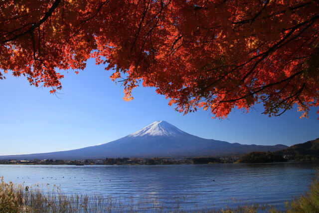 秋の風景富士山