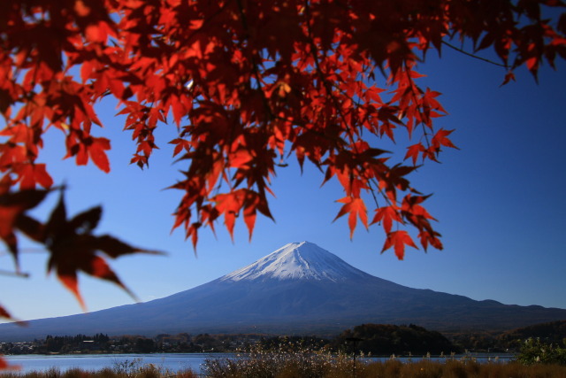 もみじ富士山