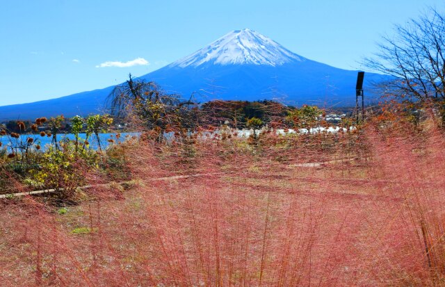 富士山秋