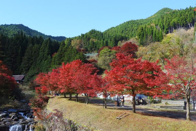 山の秋進む 27