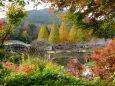 秋が深まる公園風景