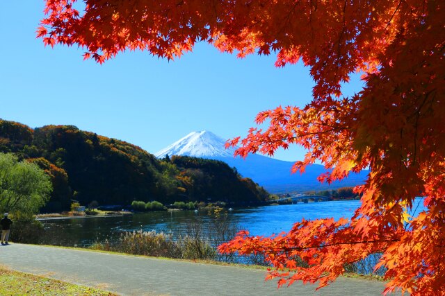 河口湖秋