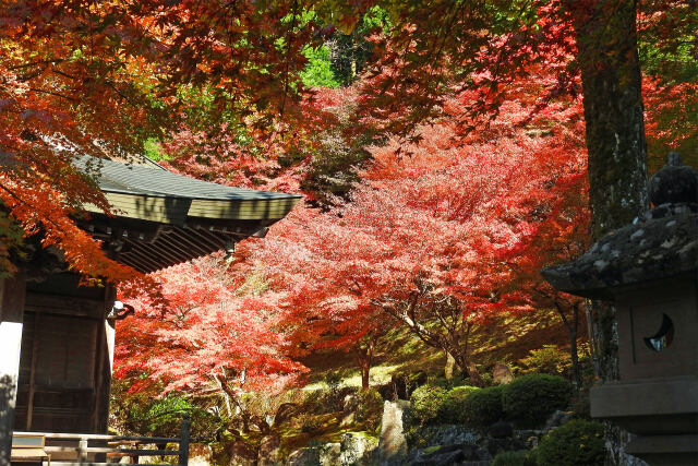 山寺 秋 8