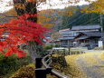 紅葉の田舎道