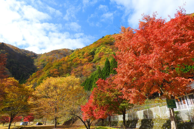 山の秋進む 29