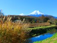 忍野八海秋