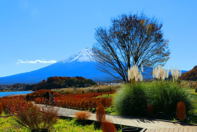 富士山秋