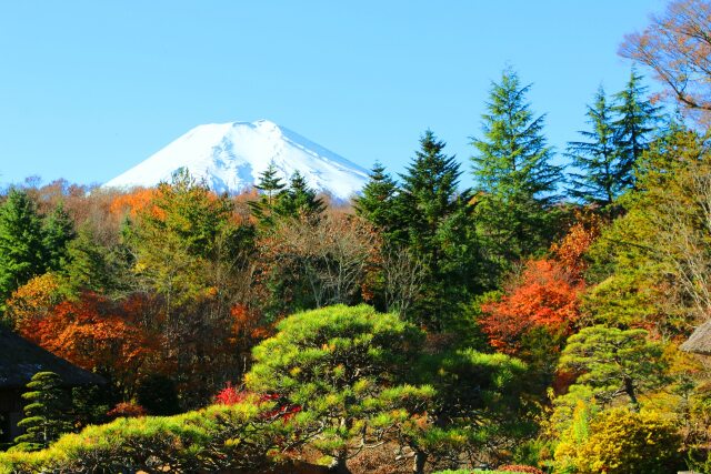 忍野八海秋