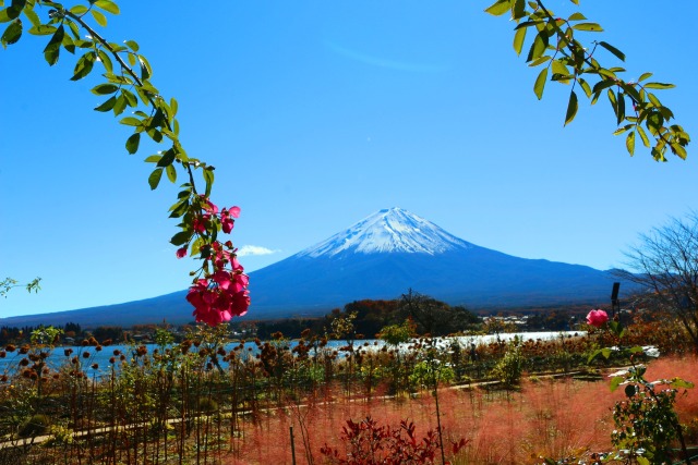 富士山秋