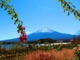 富士山秋