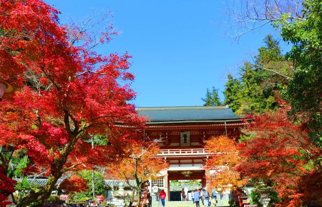 鞍馬寺秋