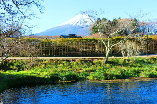 忍野八海秋