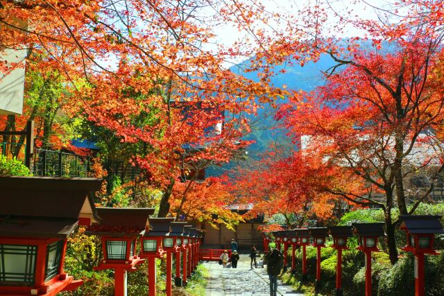 鞍馬寺秋