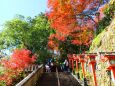 鞍馬神社秋