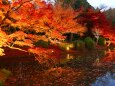 京都府立植物園秋