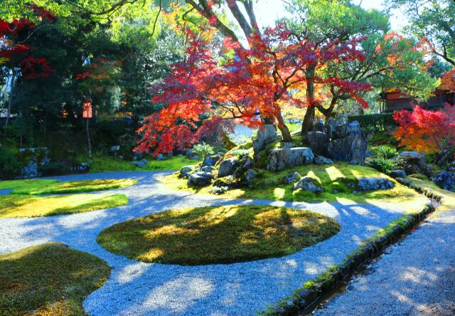 醍醐寺秋