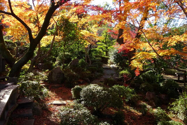 訪れた紅葉の小径