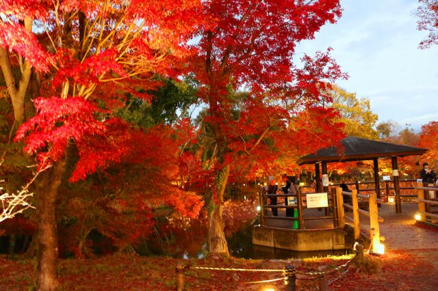 京都府立植物園秋