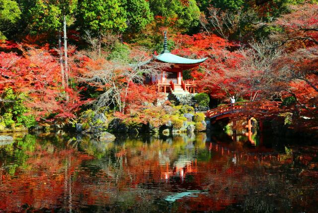 醍醐寺秋