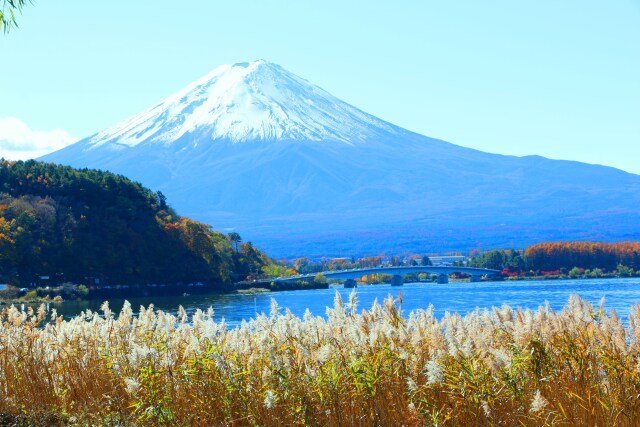 河口湖秋