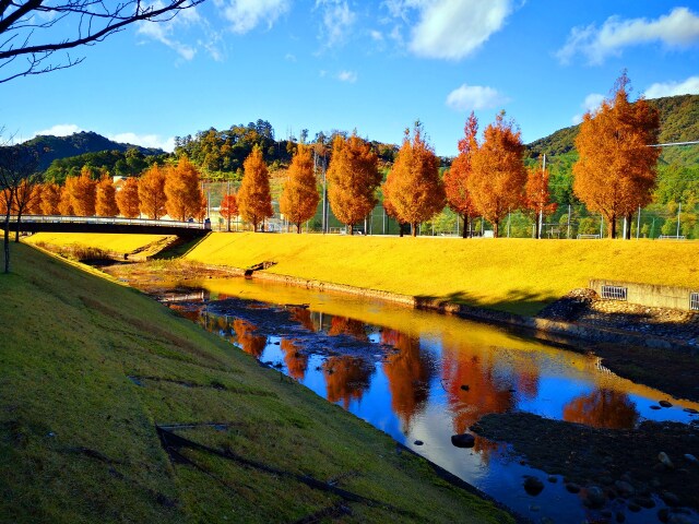 秋の公園