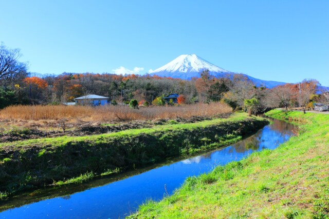 忍野八海