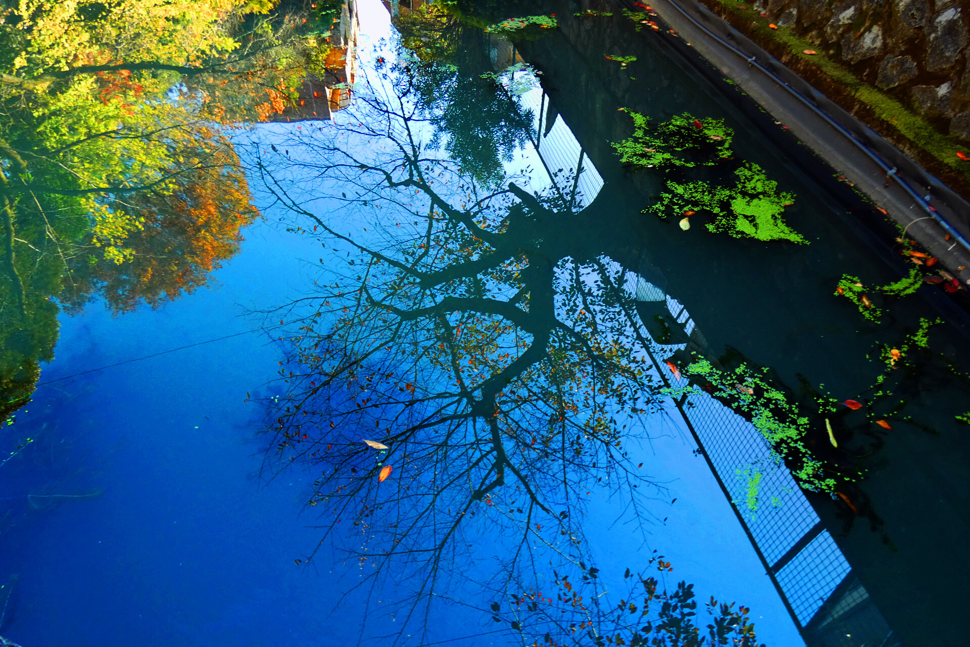 日本の風景 水面に映る秋の空 壁紙19x1280 壁紙館