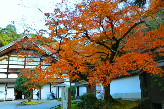 南禅寺秋