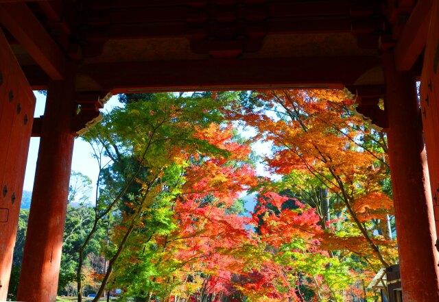 醍醐寺秋