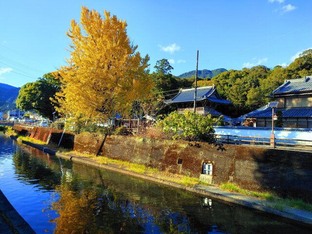 東紀州秋