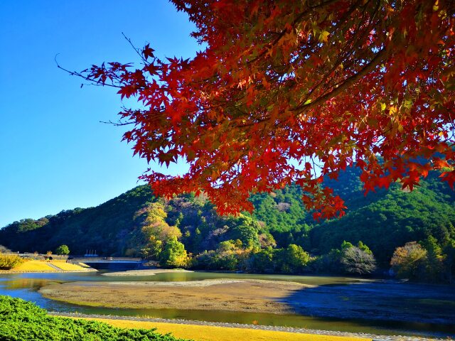 秋の公園