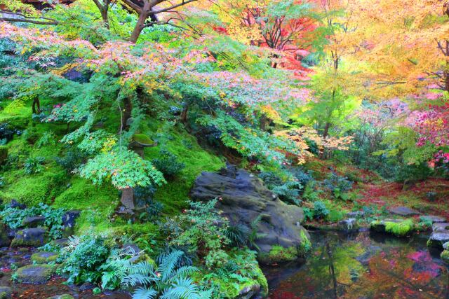 瑠璃光院