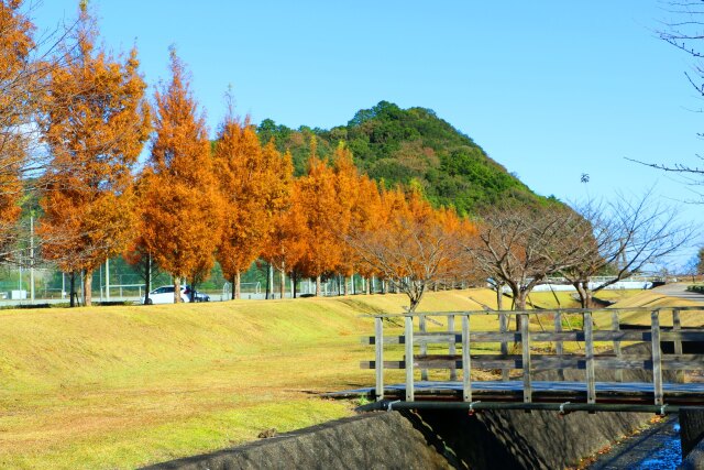 秋の公園