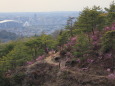 春の鞍ケ池にて