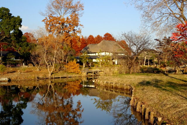 初冬の夕暮れ 横武クリーク公園