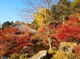 醍醐寺