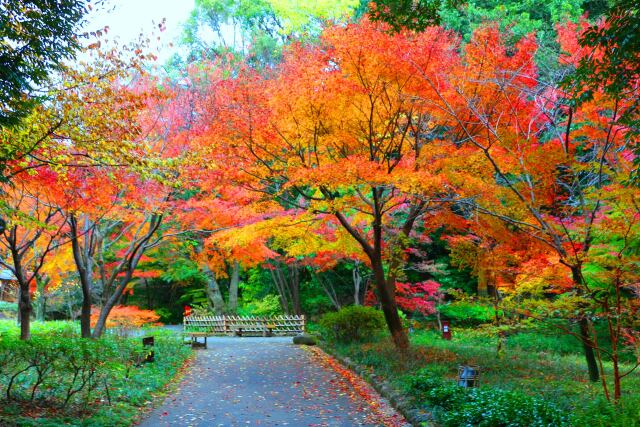 徳川園