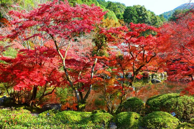 醍醐寺