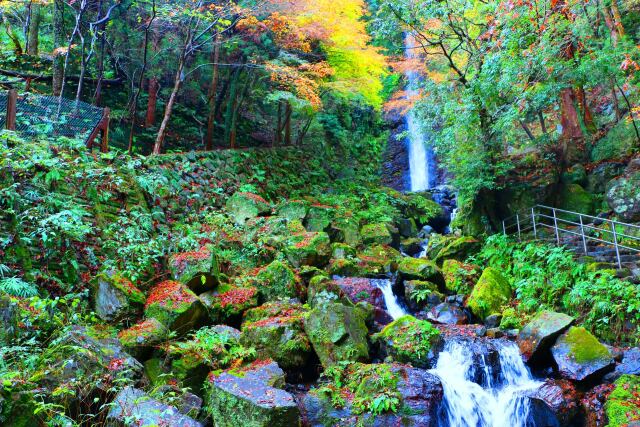 養老の滝