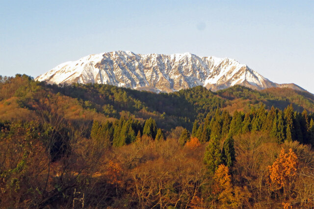 大山 冠雪 5