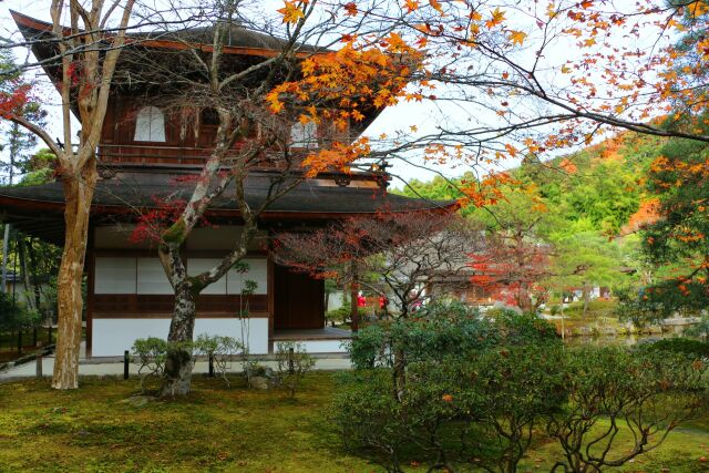 銀閣寺初冬