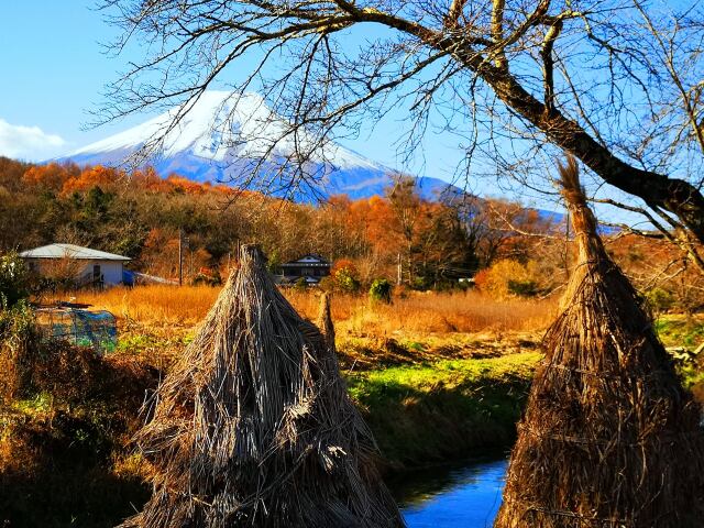 忍野八海初冬