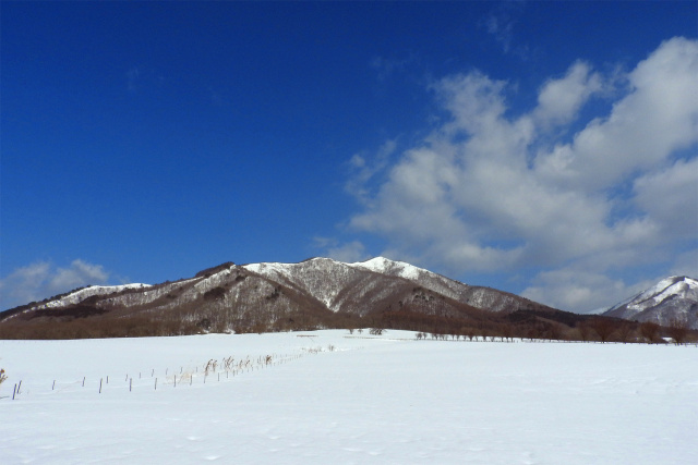 高原の冬