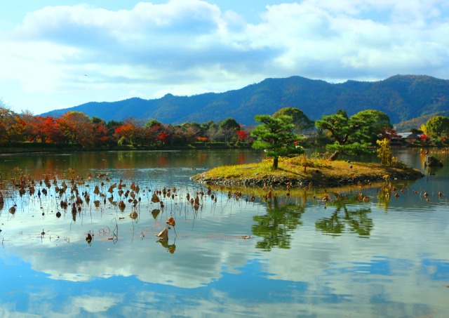 大覚寺