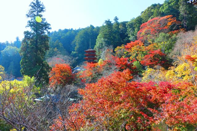 長谷寺