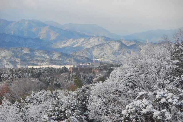 亀山の山