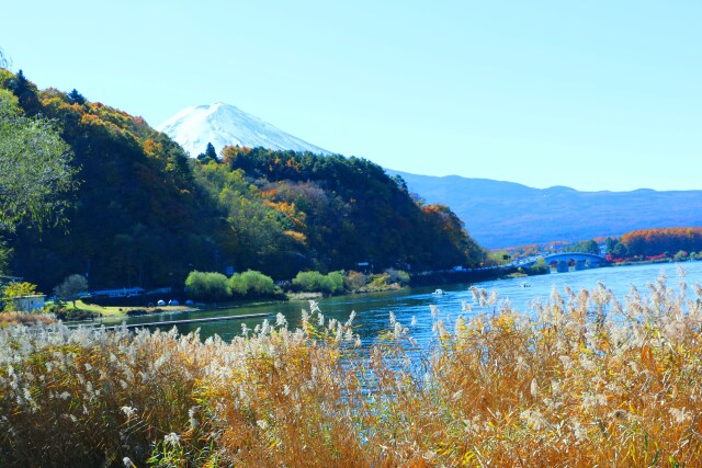 河口湖初冬