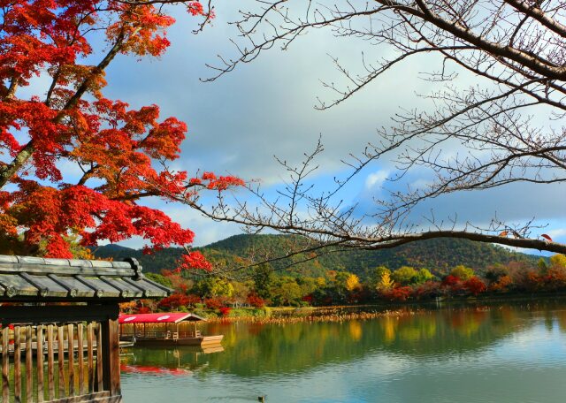 大覚寺